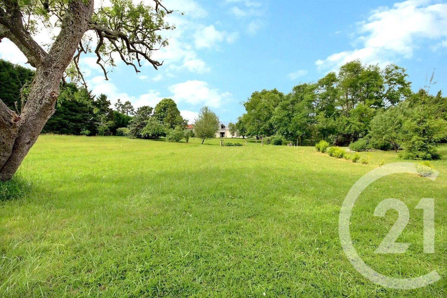 Maison à vendre, 180m², Le Controis-en-Sologne
