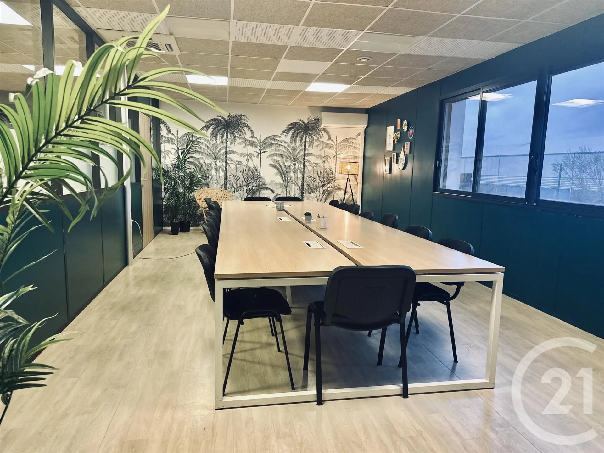 Appartement à louer, 370m², Castries