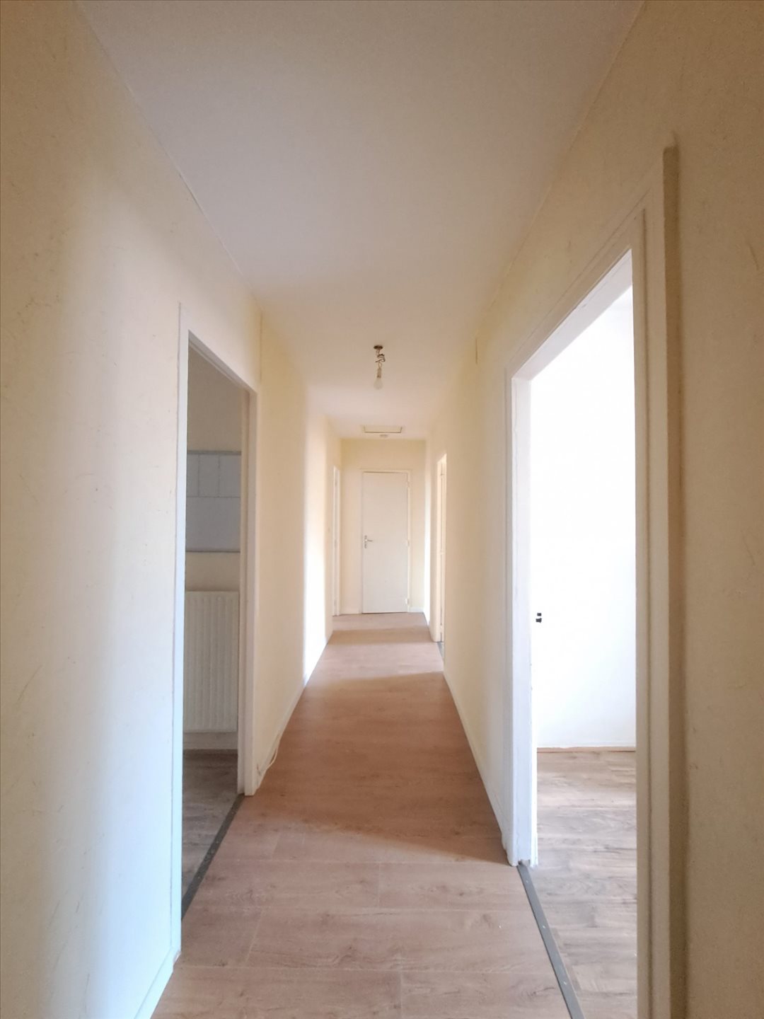 Appartement à louer, 71m², Albi
