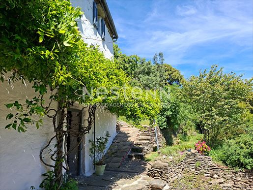 10 pièces 310 m² · à Ventalon en Cévennes · 310 m² · 398 000 €