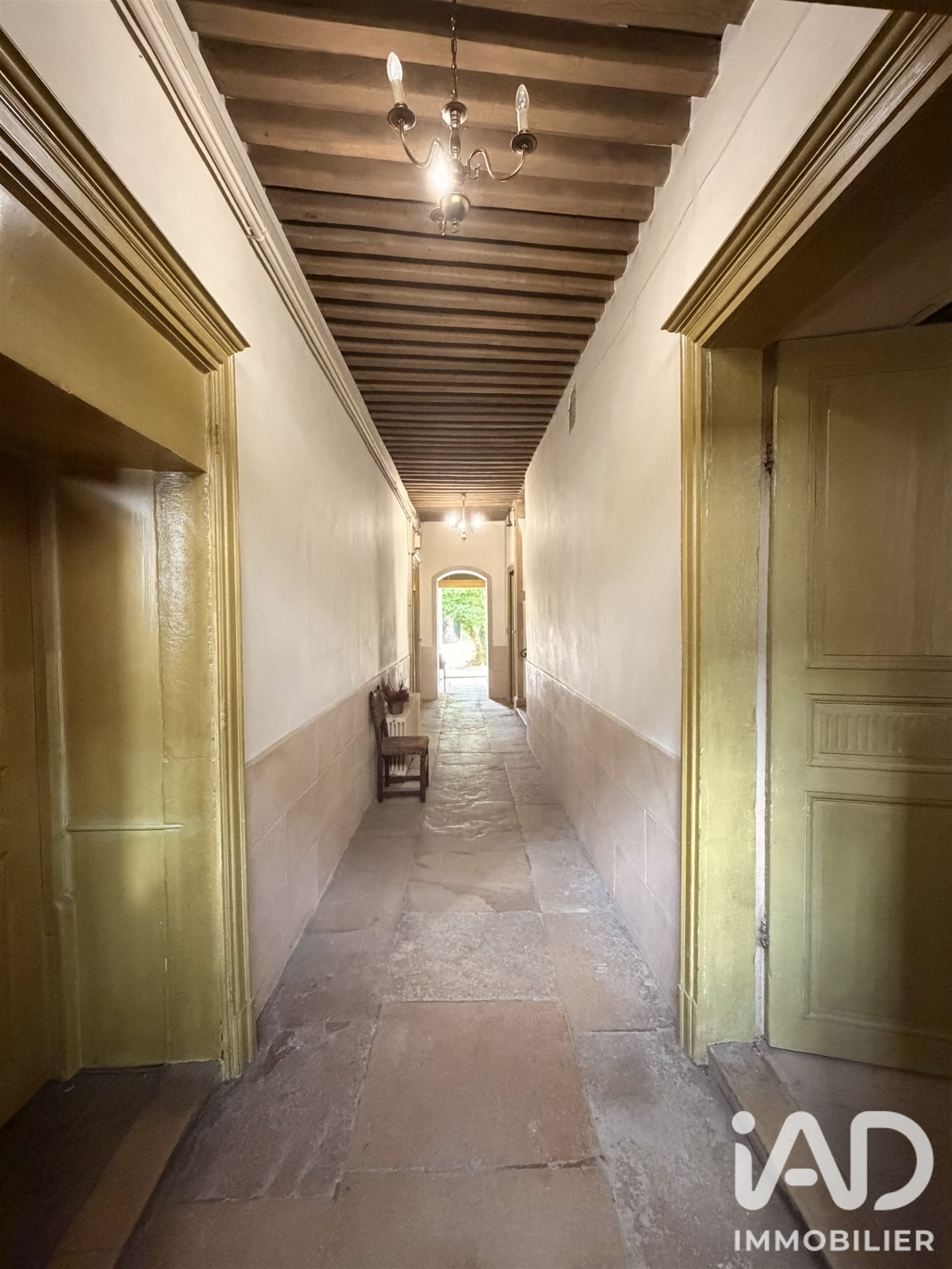 Maison à vendre, 340m², Thoissey