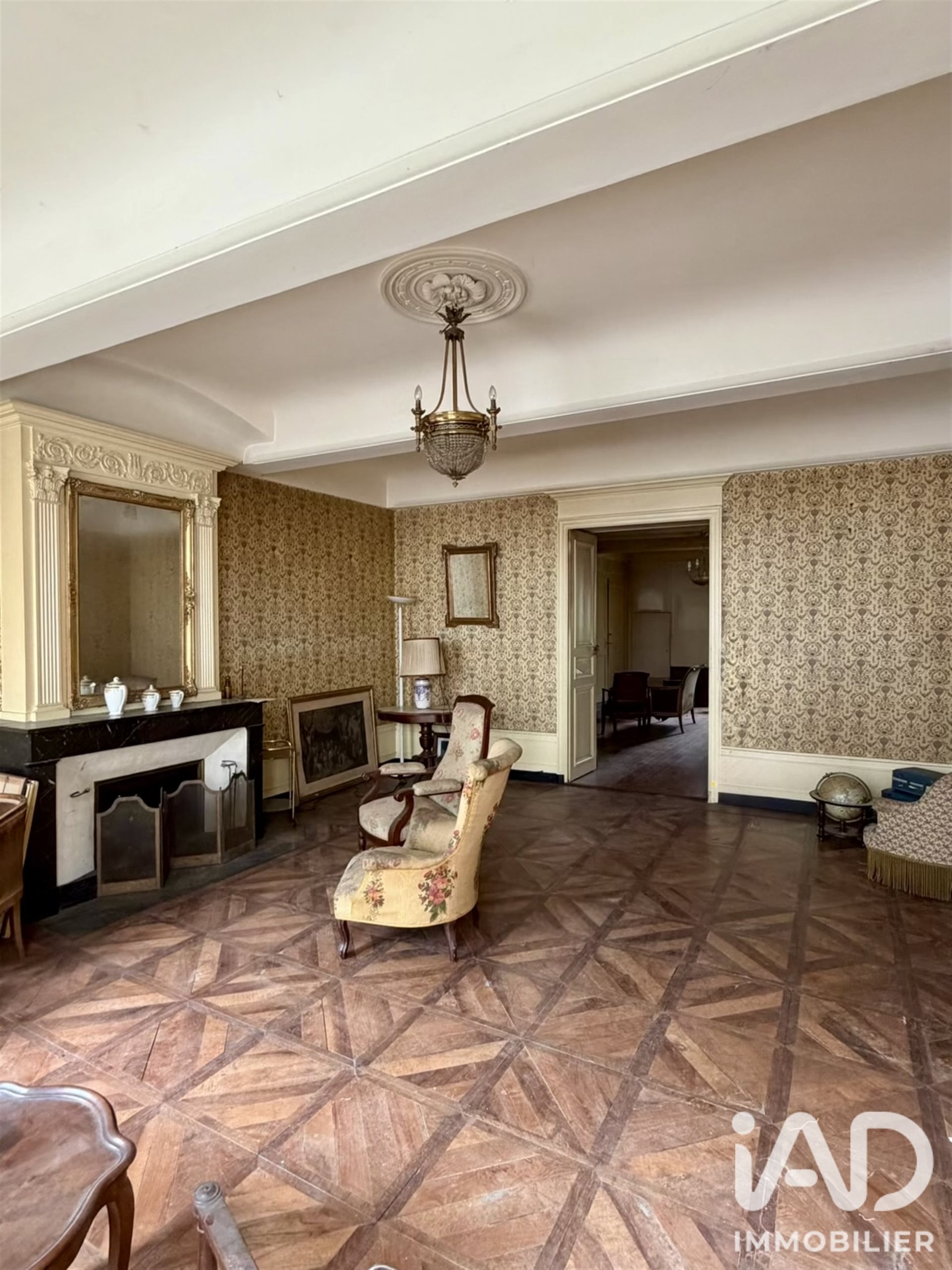 Maison à vendre, 340m², Thoissey