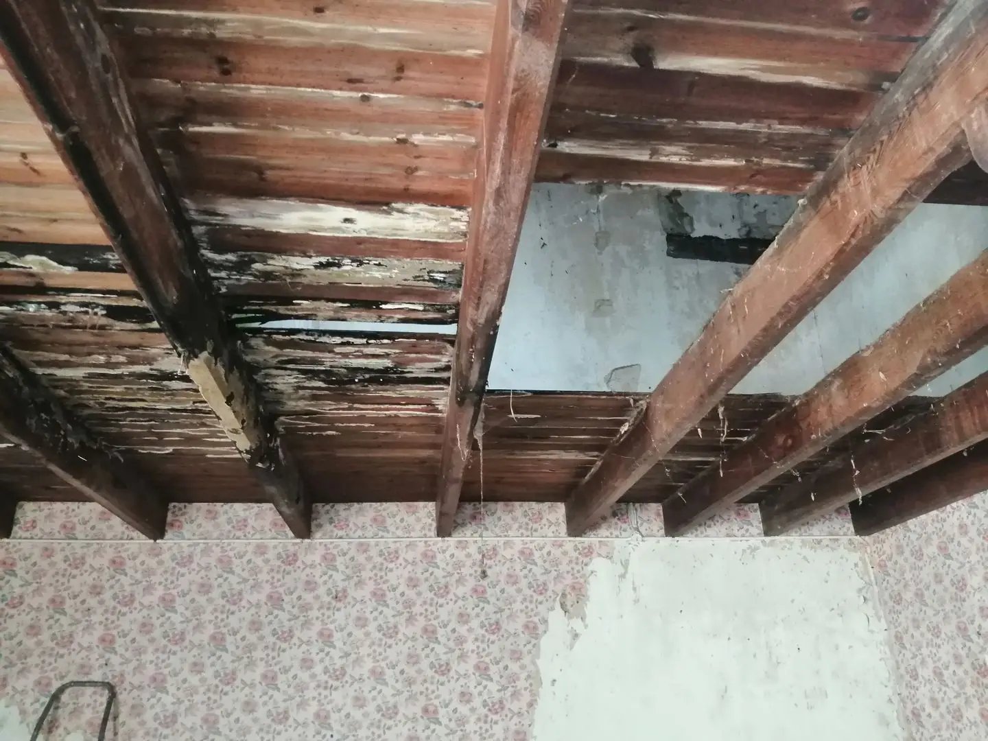 Maison à vendre, 48m², Gurat