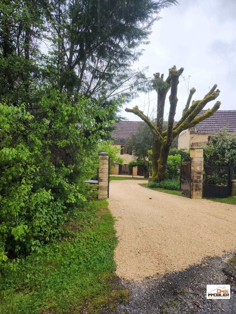 Maison à vendre, 205m², Les Eyzies