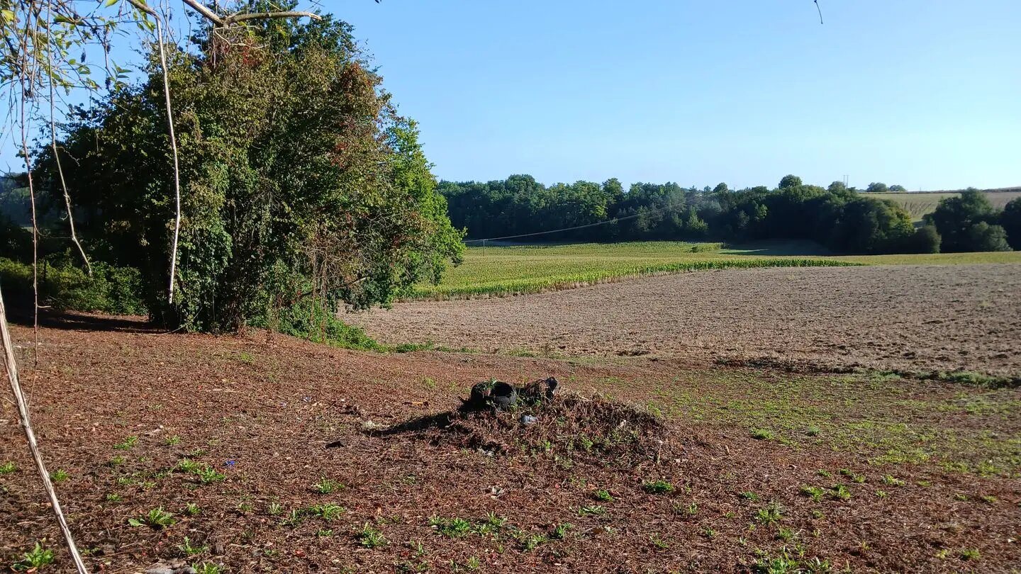 Maison à vendre, 89m², Montmoreau-Saint-Cybard