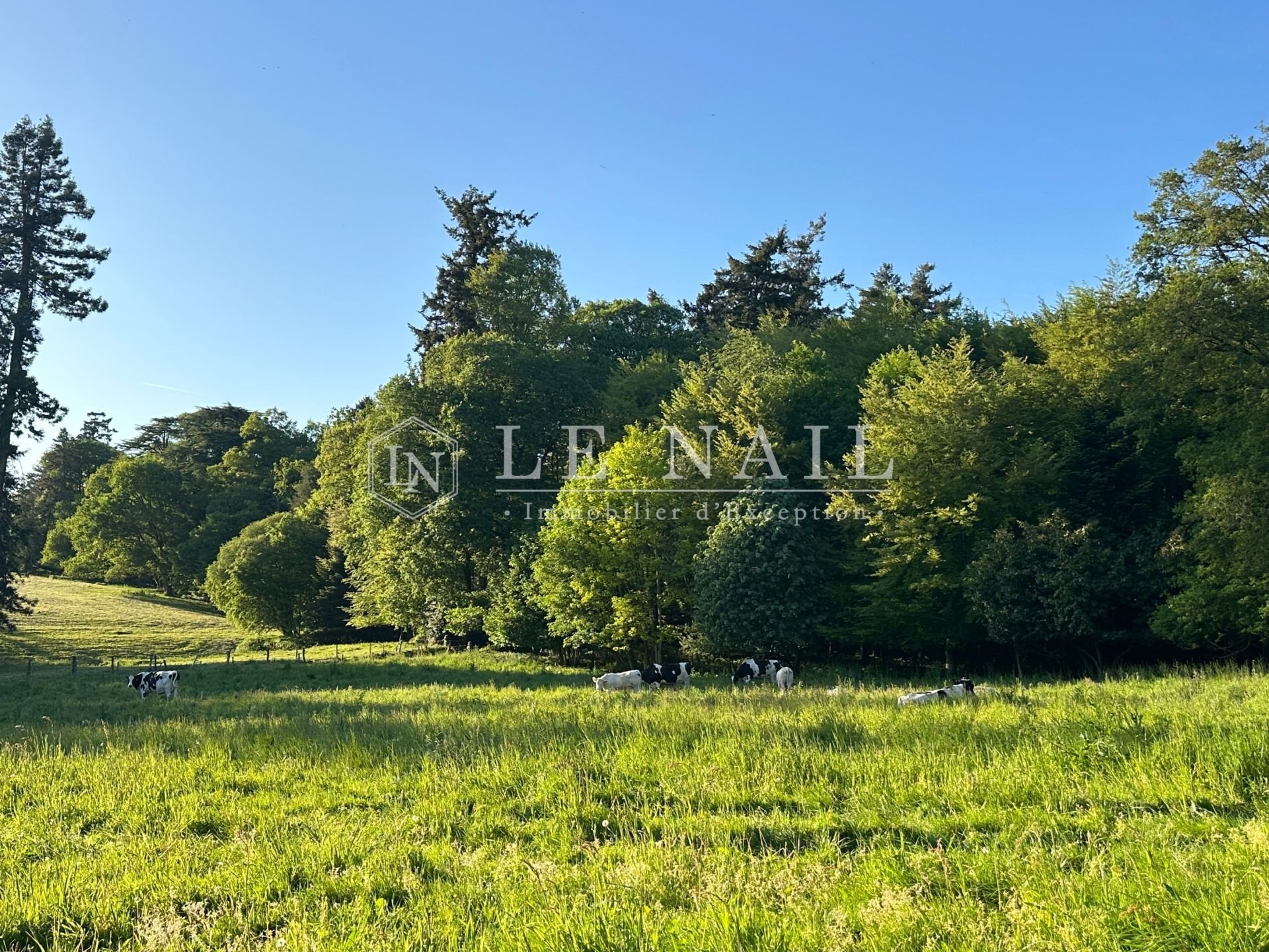 Maison à vendre, 820m², Saint-Martin-sur-Oust
