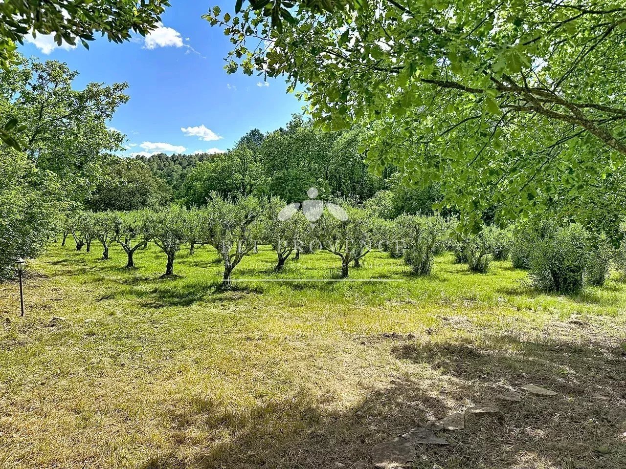 Maison à vendre, 263m², Flayosc