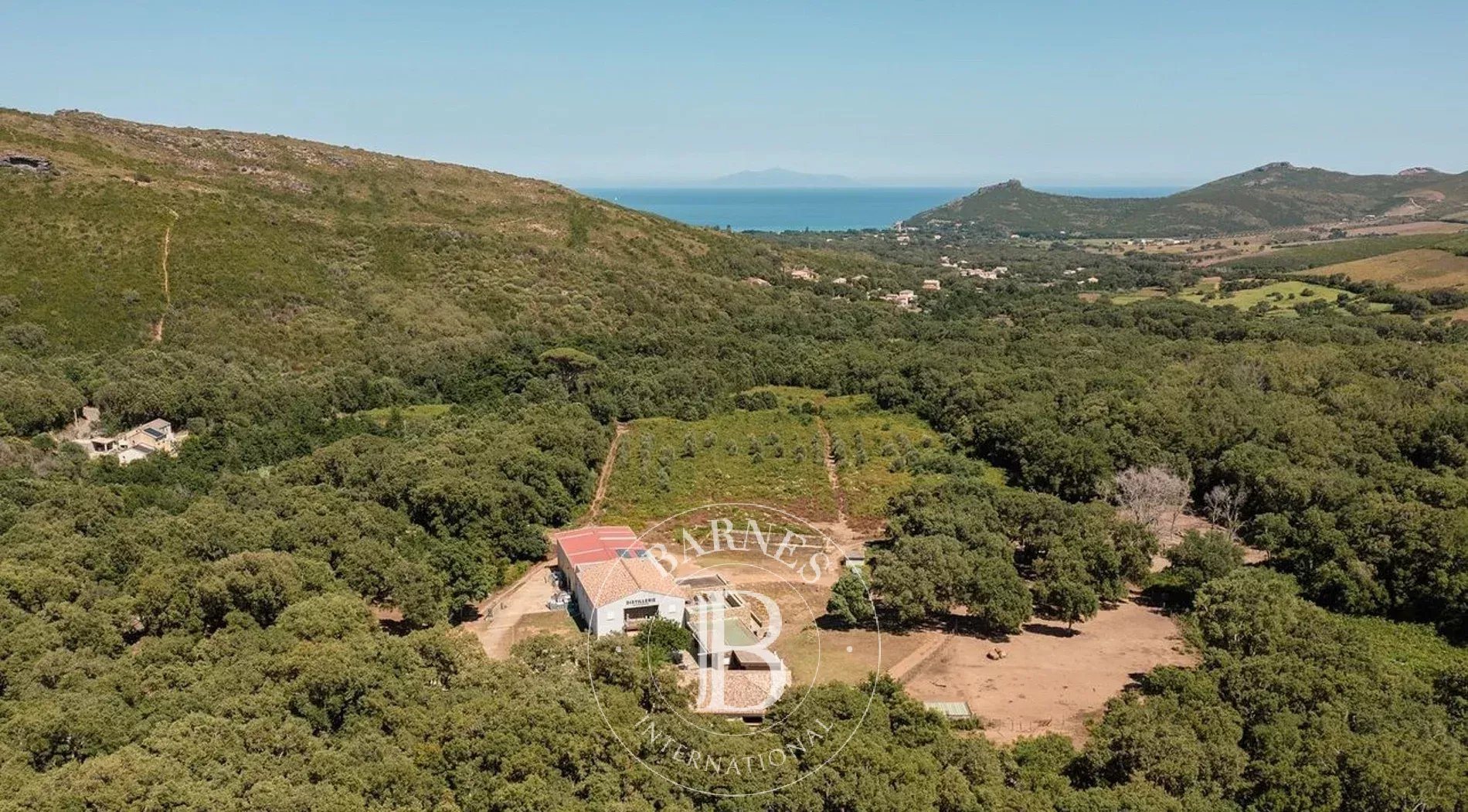 Maison à vendre, 205m², Pietracorbara