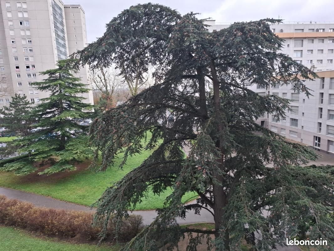 Appartement à vendre, 96m², Vénissieux