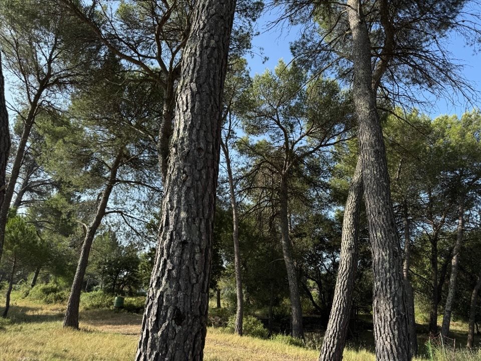 Maison à vendre, 90m², Guzargues