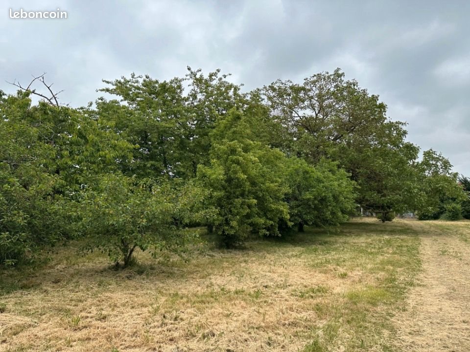 Maison à vendre, 80m², Sorigny