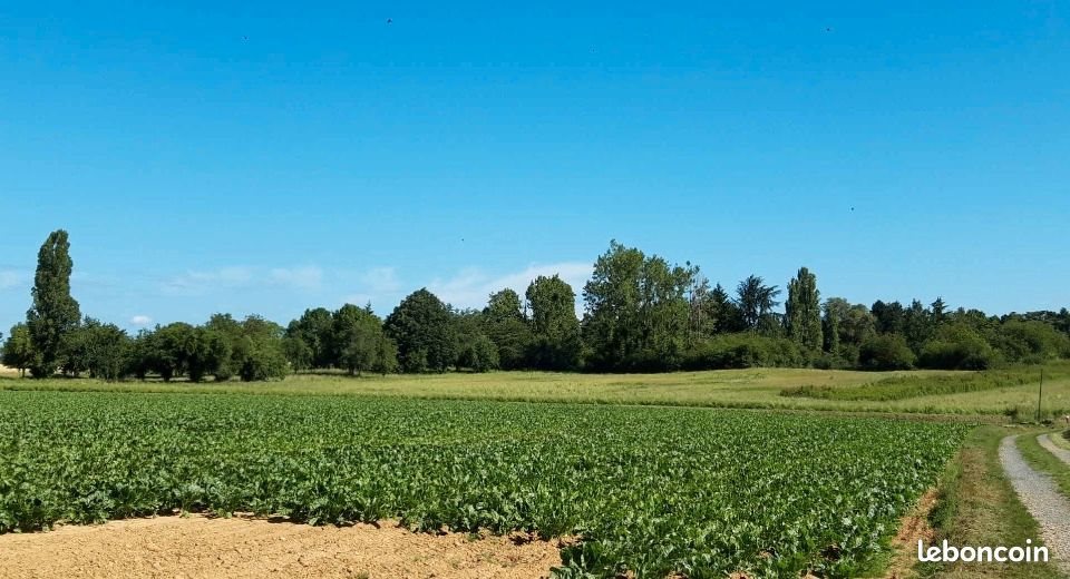 Maison à vendre, 160m², Saint-Rémy-lès-Chevreuse