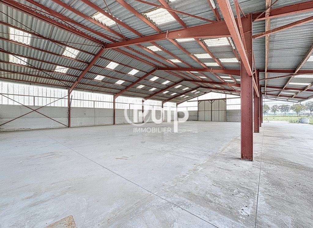 Maison à vendre, 3500m², Bersée