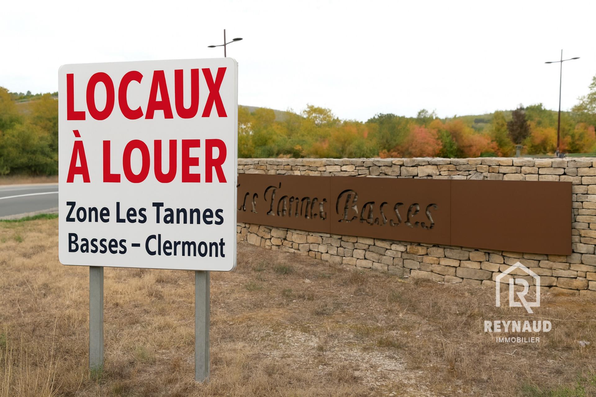 Maison à louer, 440m², Clermont-l'Hérault