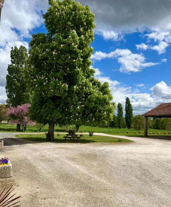 Maison à vendre, 148m², Baignes-Sainte-Radegonde