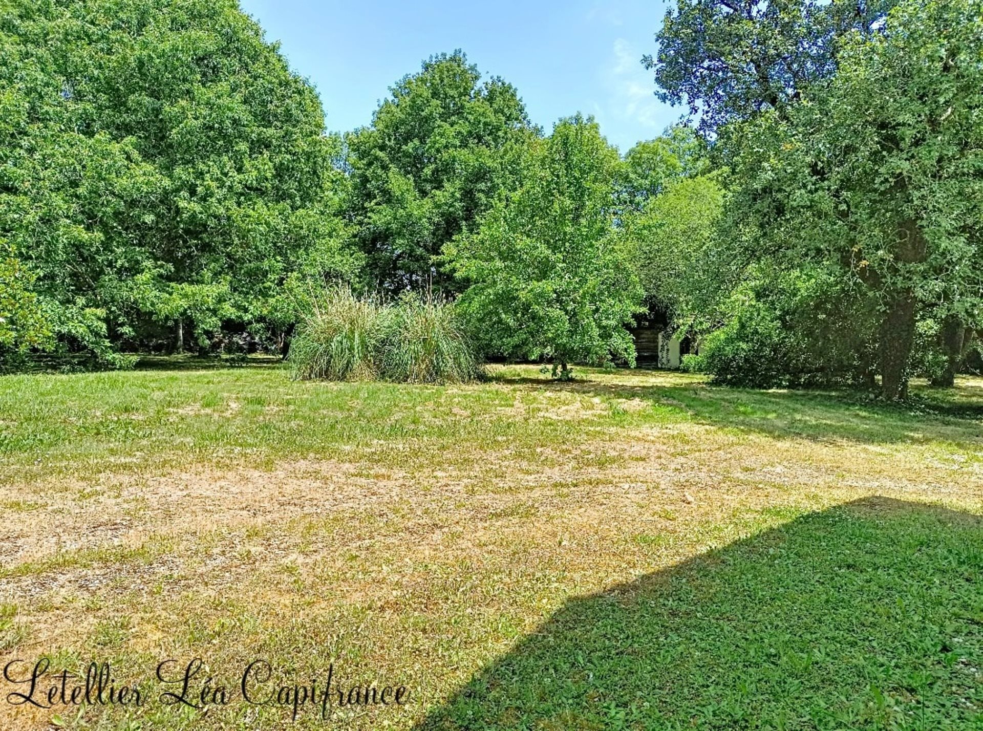 Maison à vendre, 188m², Celles-sur-Belle
