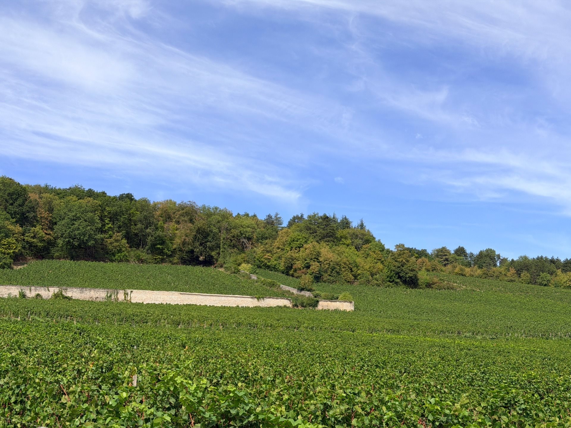 Maison à vendre, 145m², Chenôve