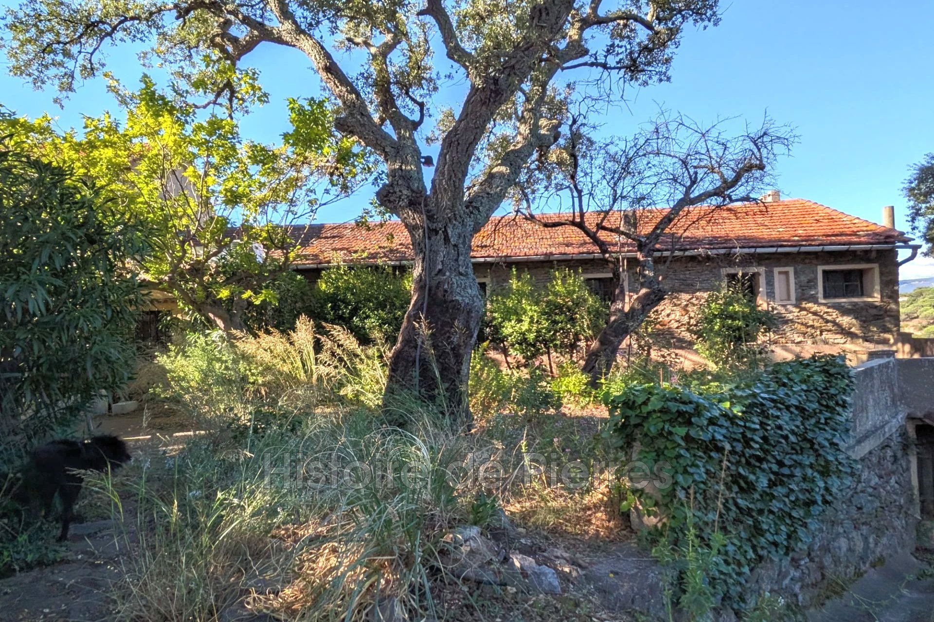 Maison à vendre, 400m², Grimaud
