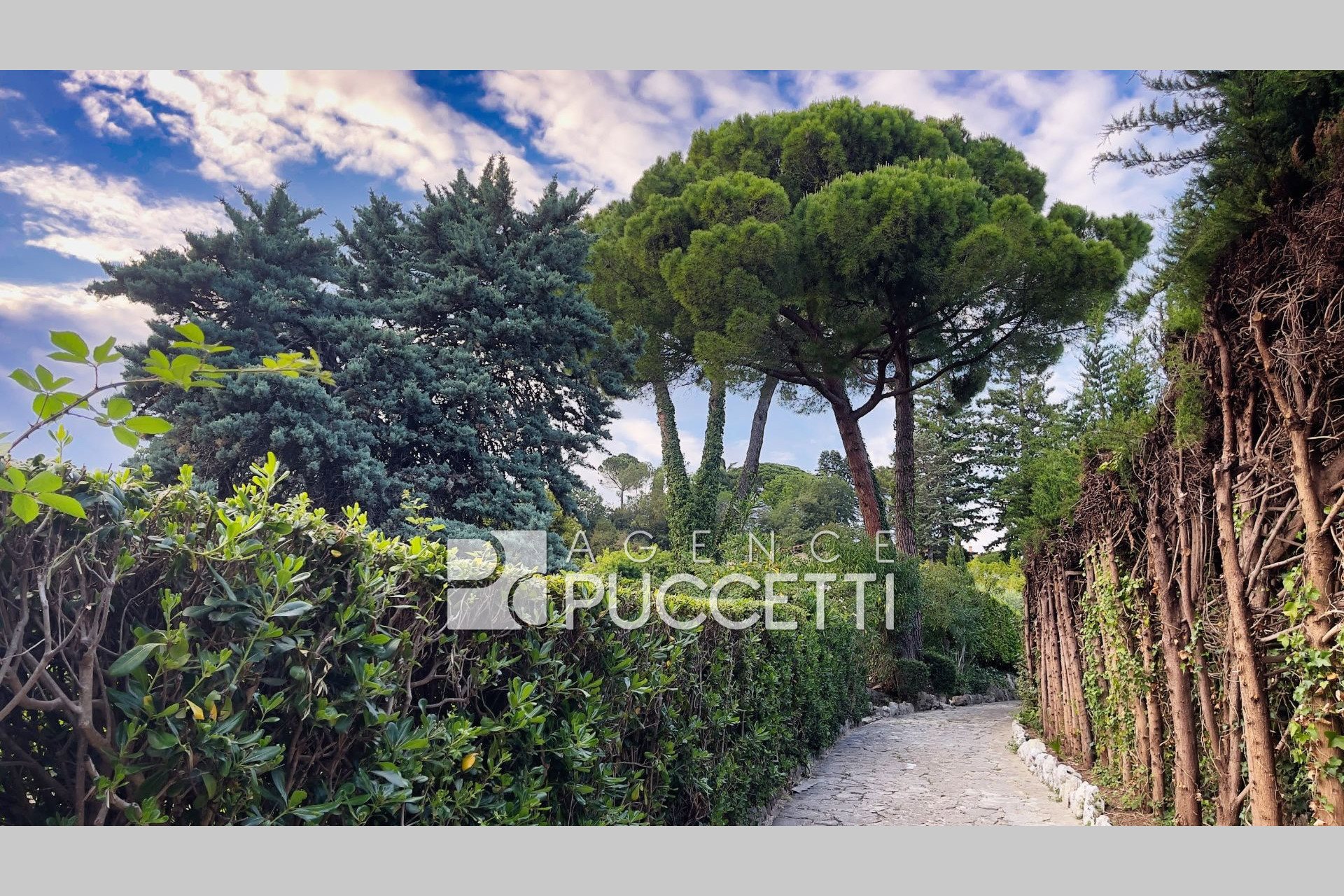 Maison à vendre, 200m², Vence