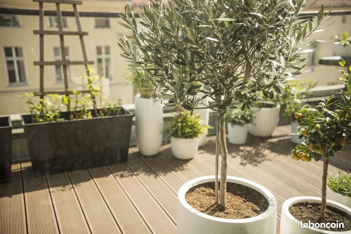 Appartement à vendre, 50m², Malakoff