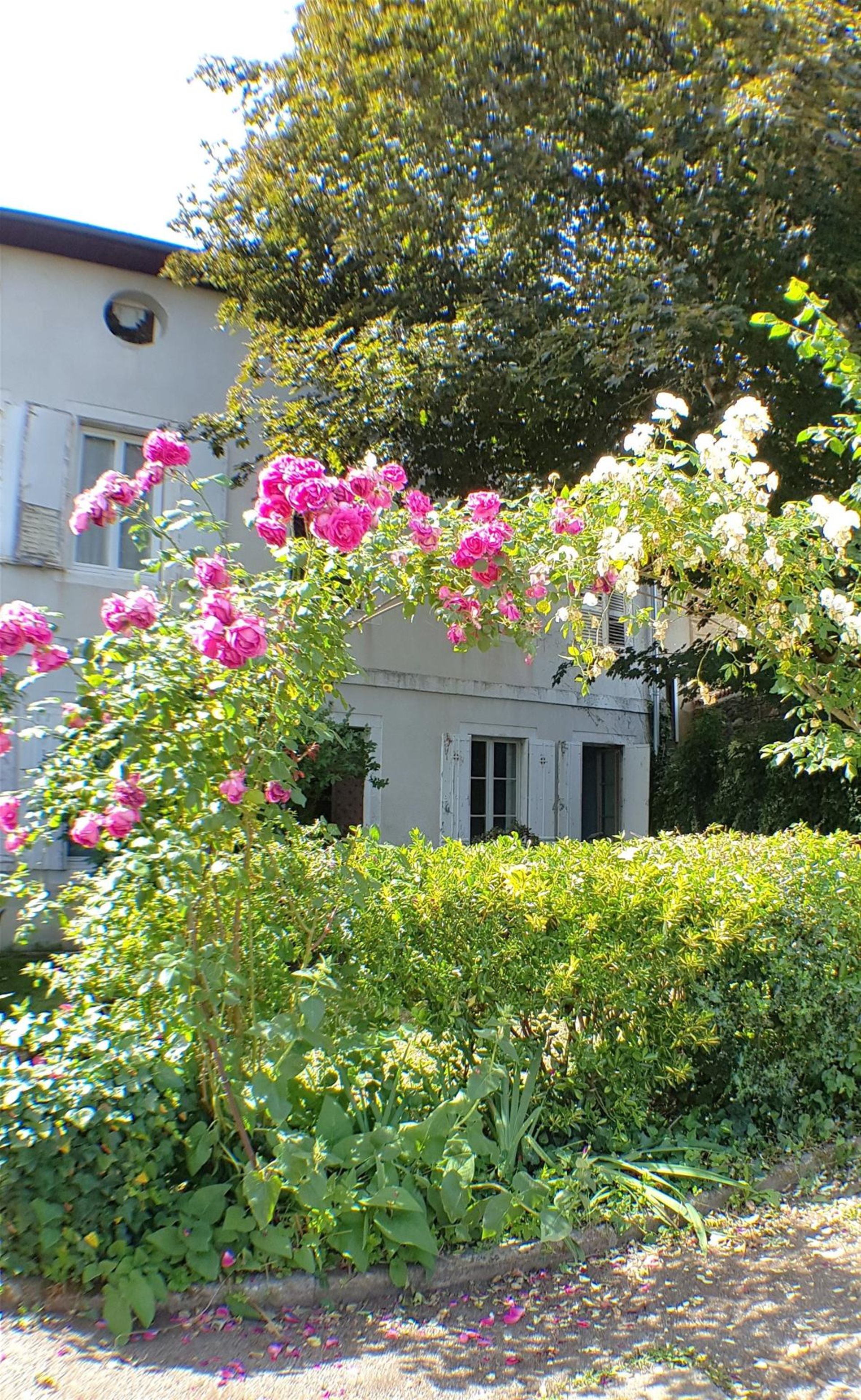 Appartement à vendre, 67m², Aixe-sur-Vienne