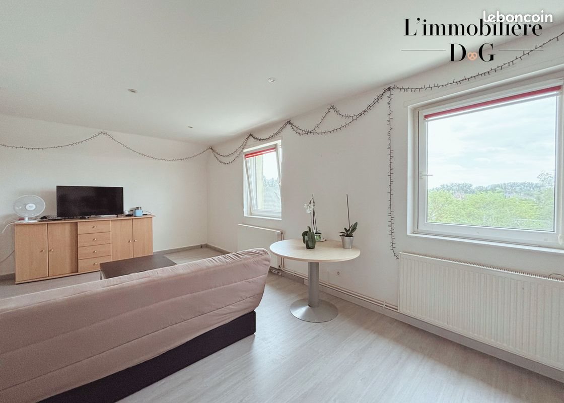 Appartement à vendre, 90m², Bischwiller