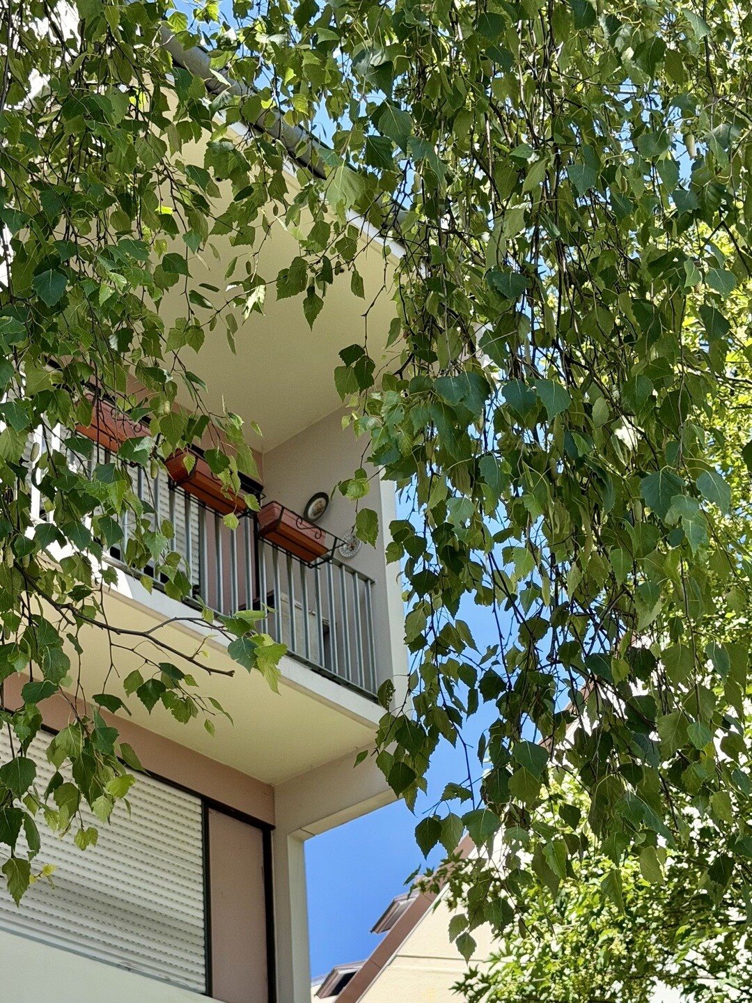 Appartement à vendre, 71m², Schiltigheim