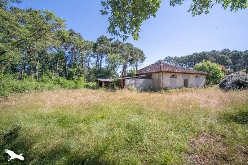 Maison à vendre, 176m², Soustons