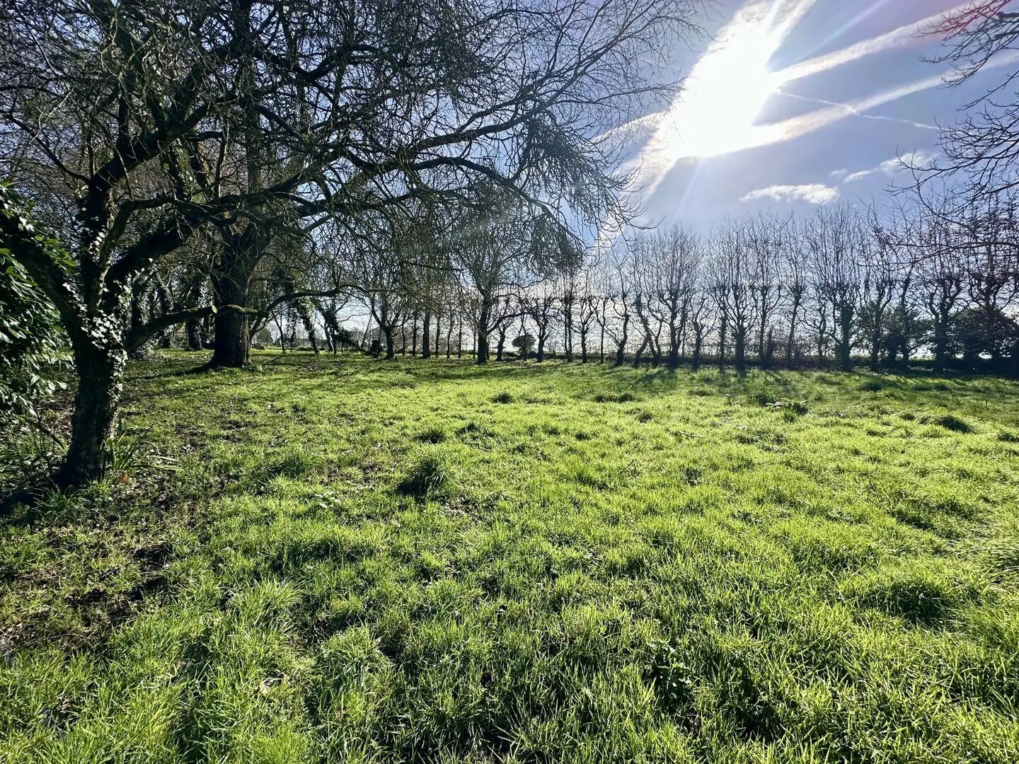 Maison à vendre, 244m², Ploëzal