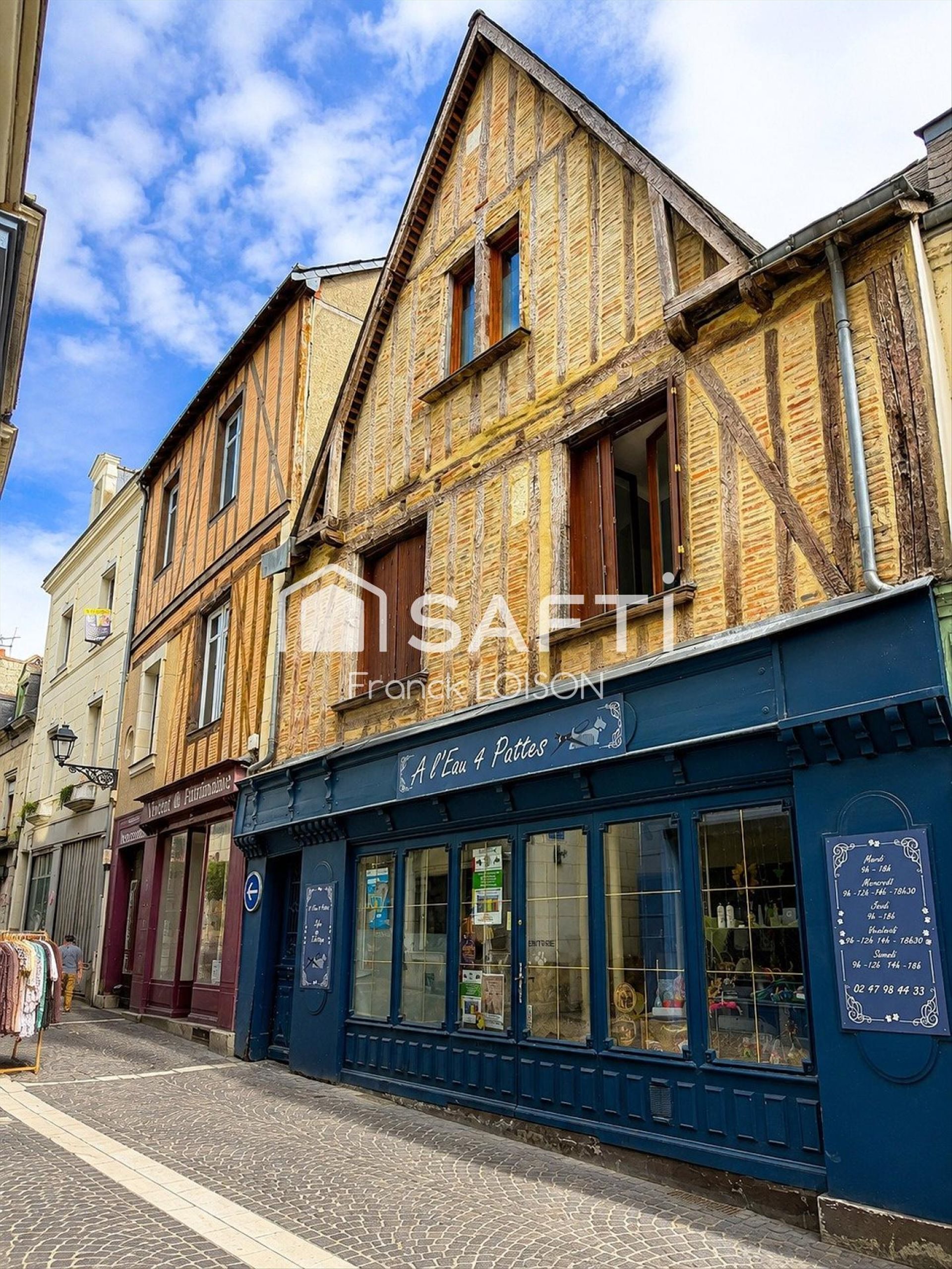 Appartement à vendre, 284m², Chinon