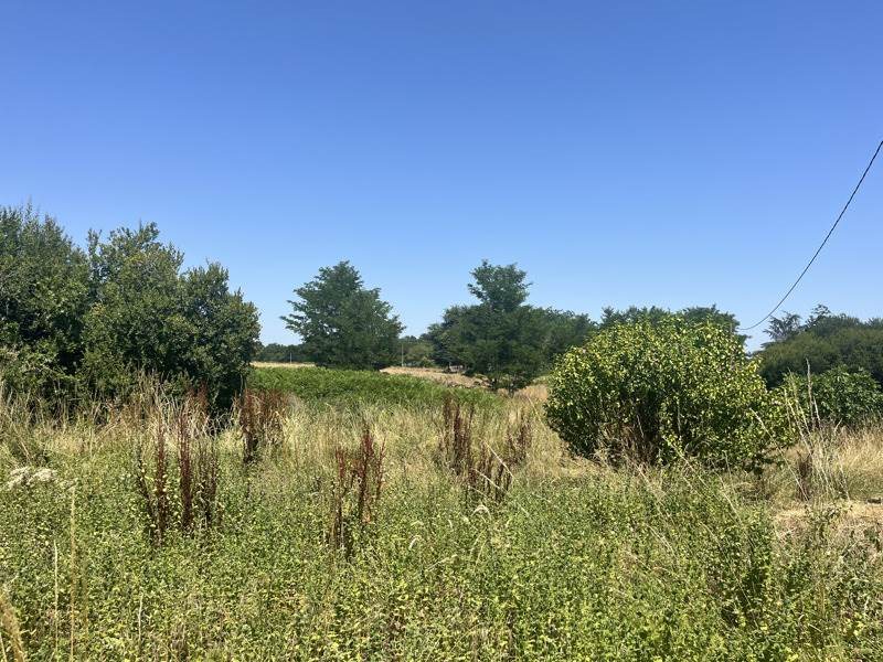Maison à vendre, 114m², Bazas