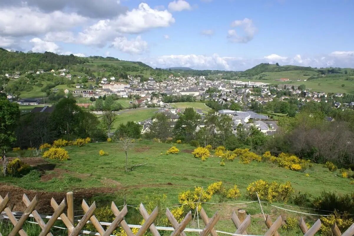 Appartement à vendre, 18m², Riom-ès-Montagnes