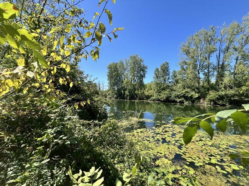 Maison à vendre, 120m², Montpon-Ménestérol