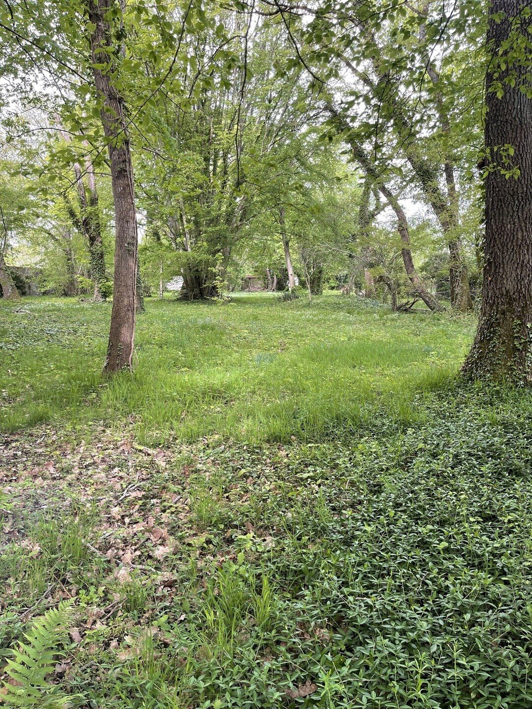 Maison à vendre, 50m², Bois-le-Roi