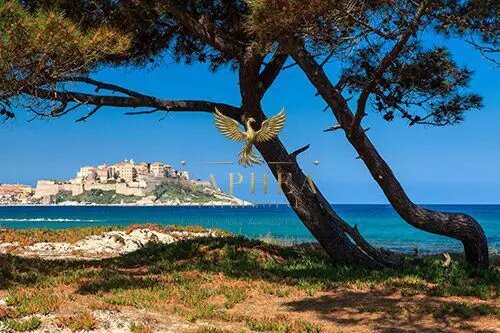 Appartement à vendre, 66m², Calvi