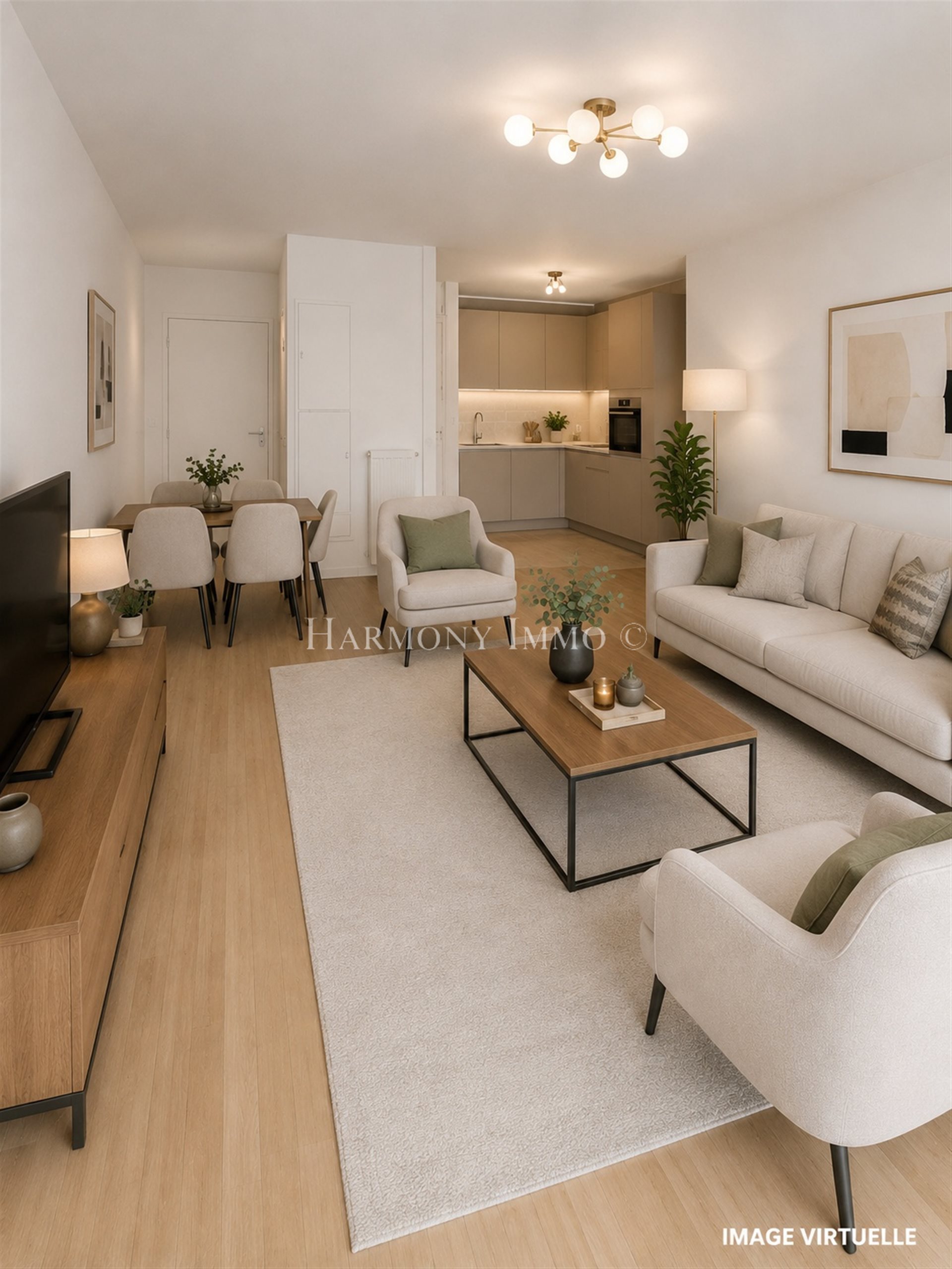 Appartement à vendre, 52m², Antony