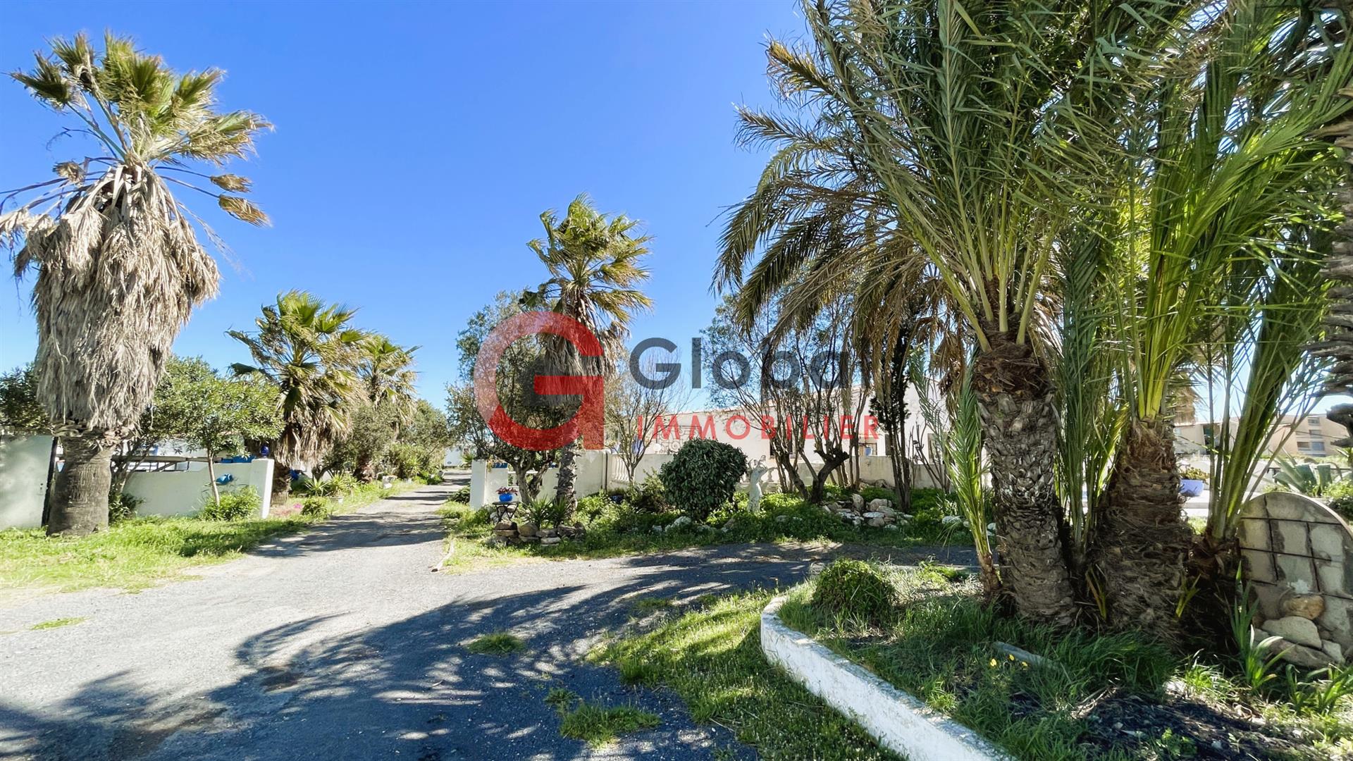 Maison à vendre, 430m², Marseillan