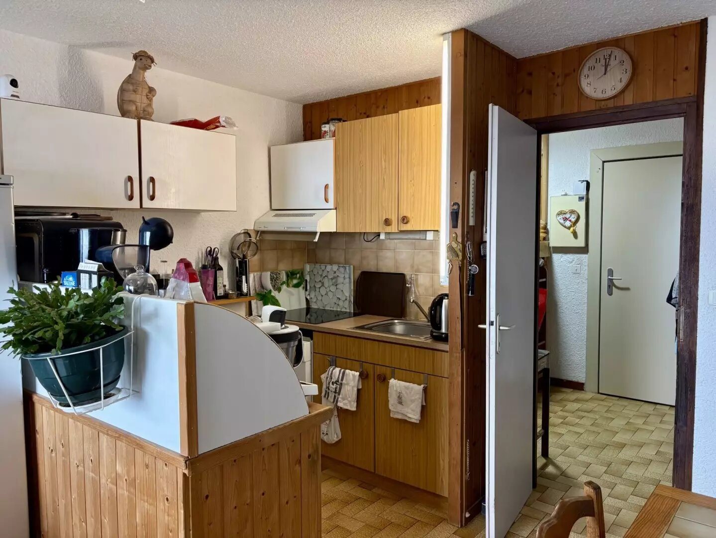 Appartement à vendre, 39m², Thollon-les-Mémises