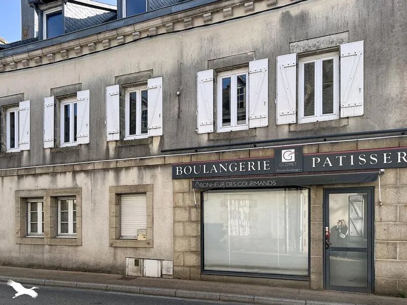 Maison à vendre, 320m², Rosporden