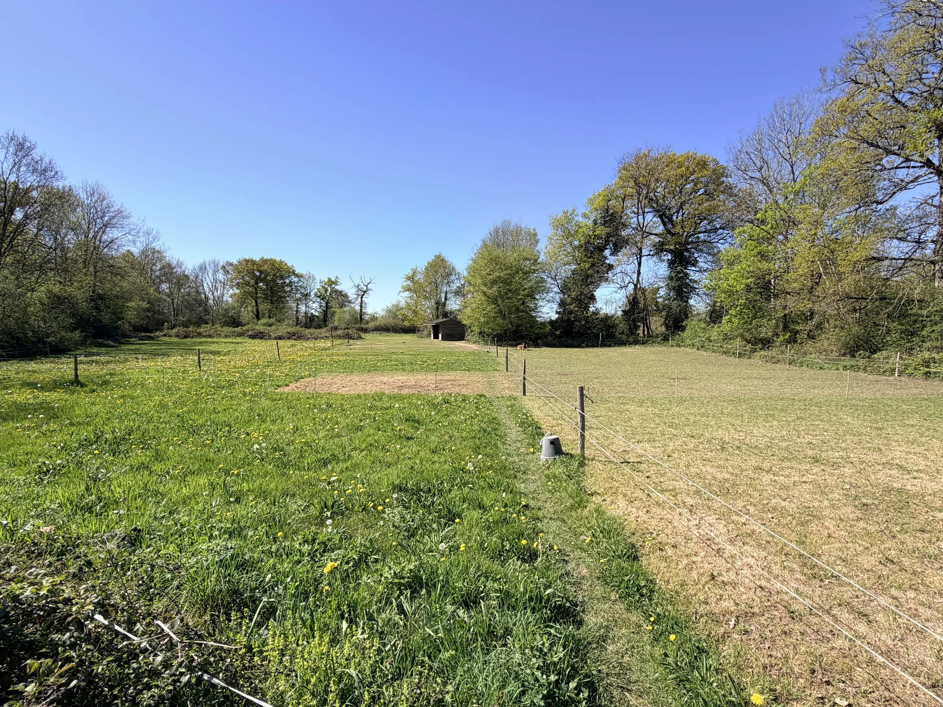 Maison à vendre, 153m², Magnac-Laval