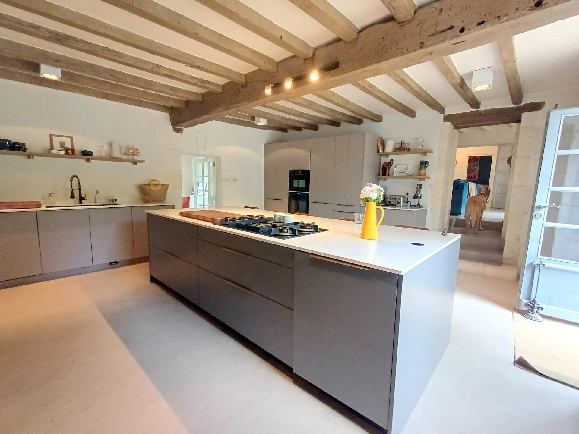 Maison à vendre, 370m², Villebois-Lavalette