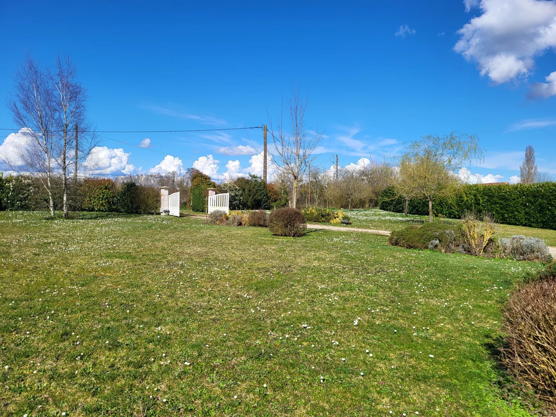 Maison à vendre, 283m², Pellouailles-les-Vignes