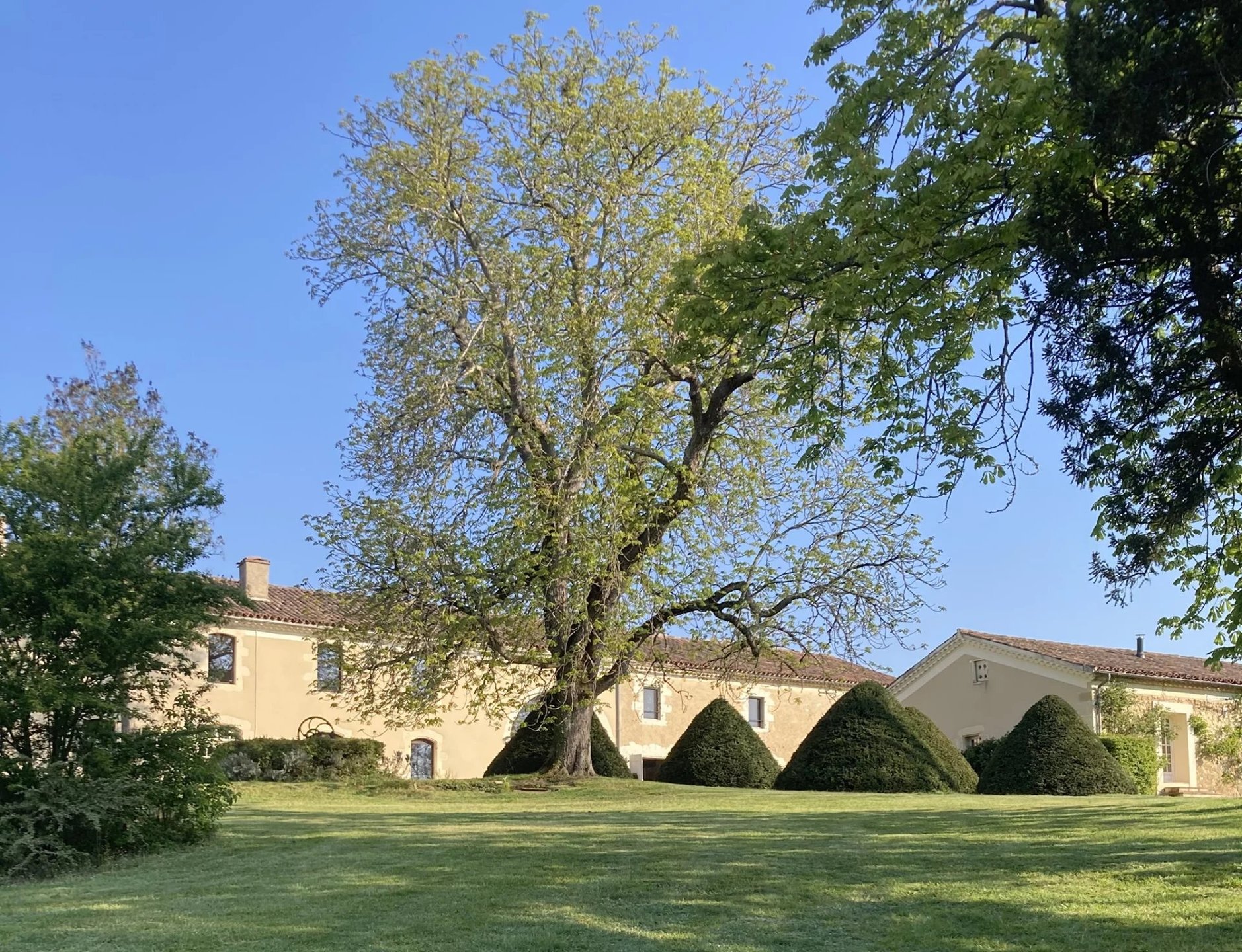 Maison à vendre, 667m², Auch