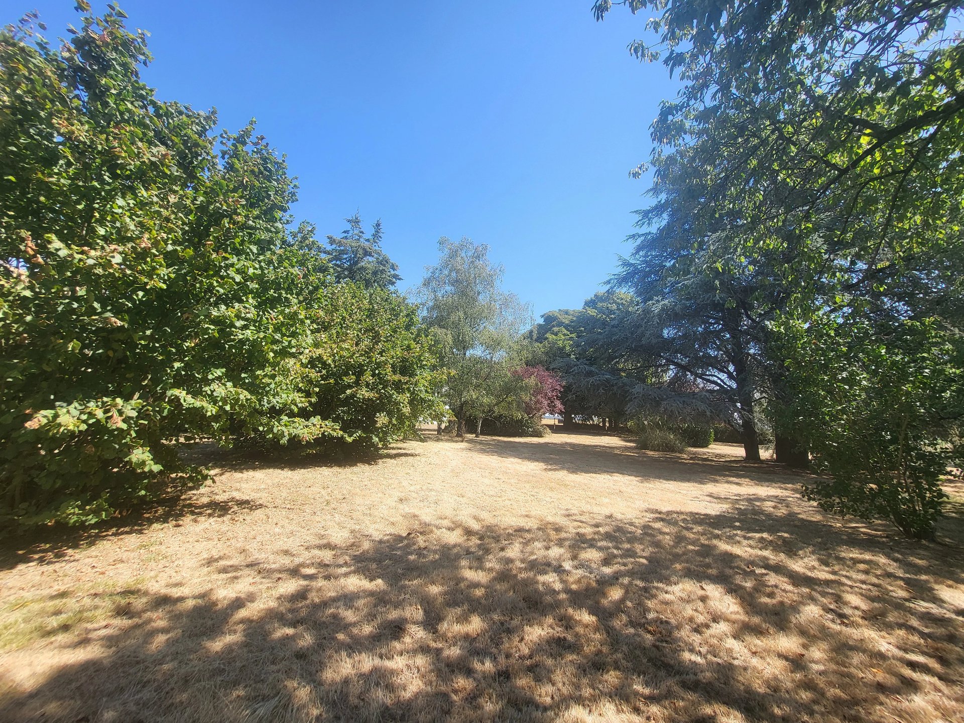 Maison à vendre, 256m², La Chapelle-Moulière