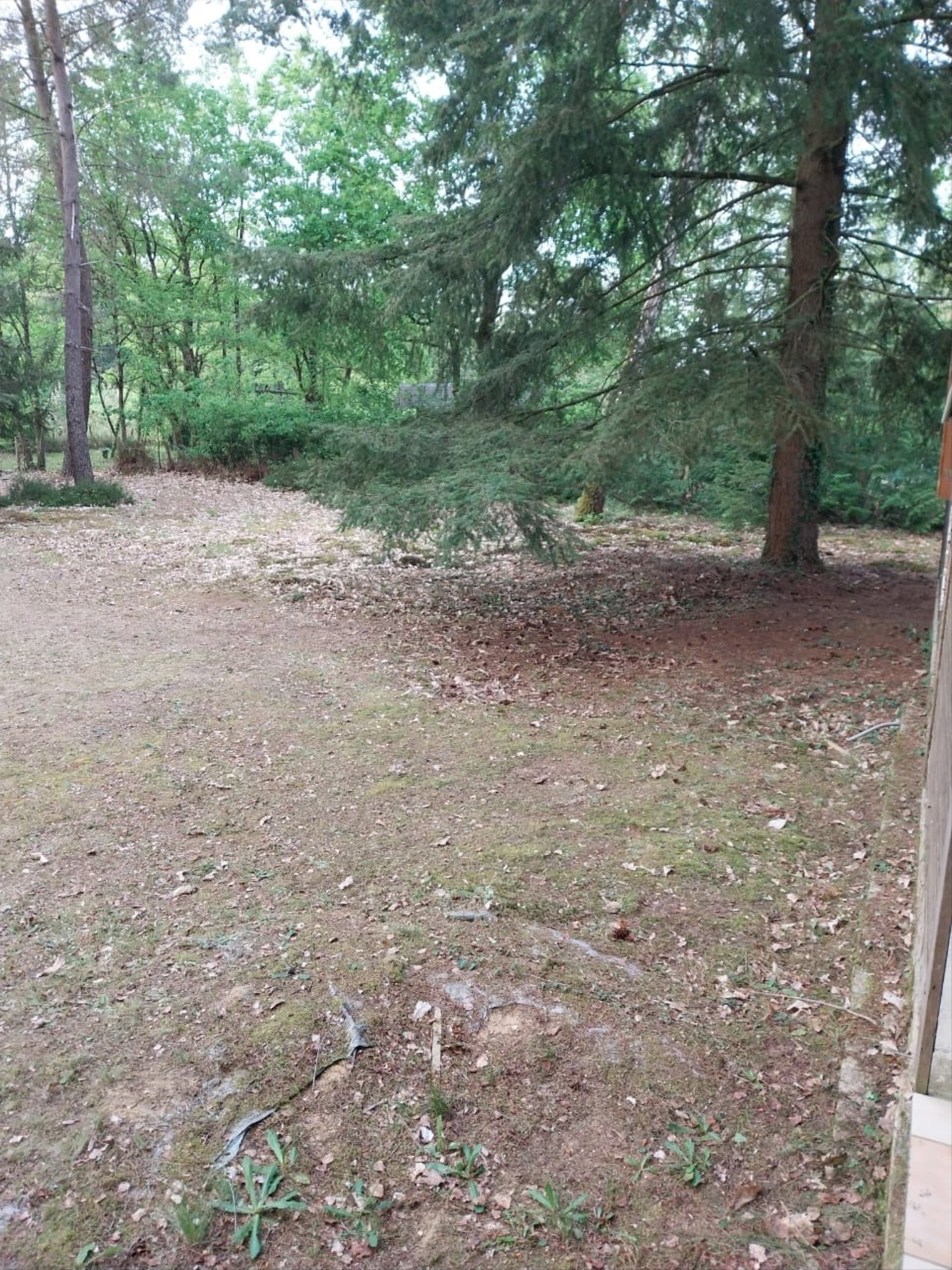 Maison à vendre, 90m², Dollon