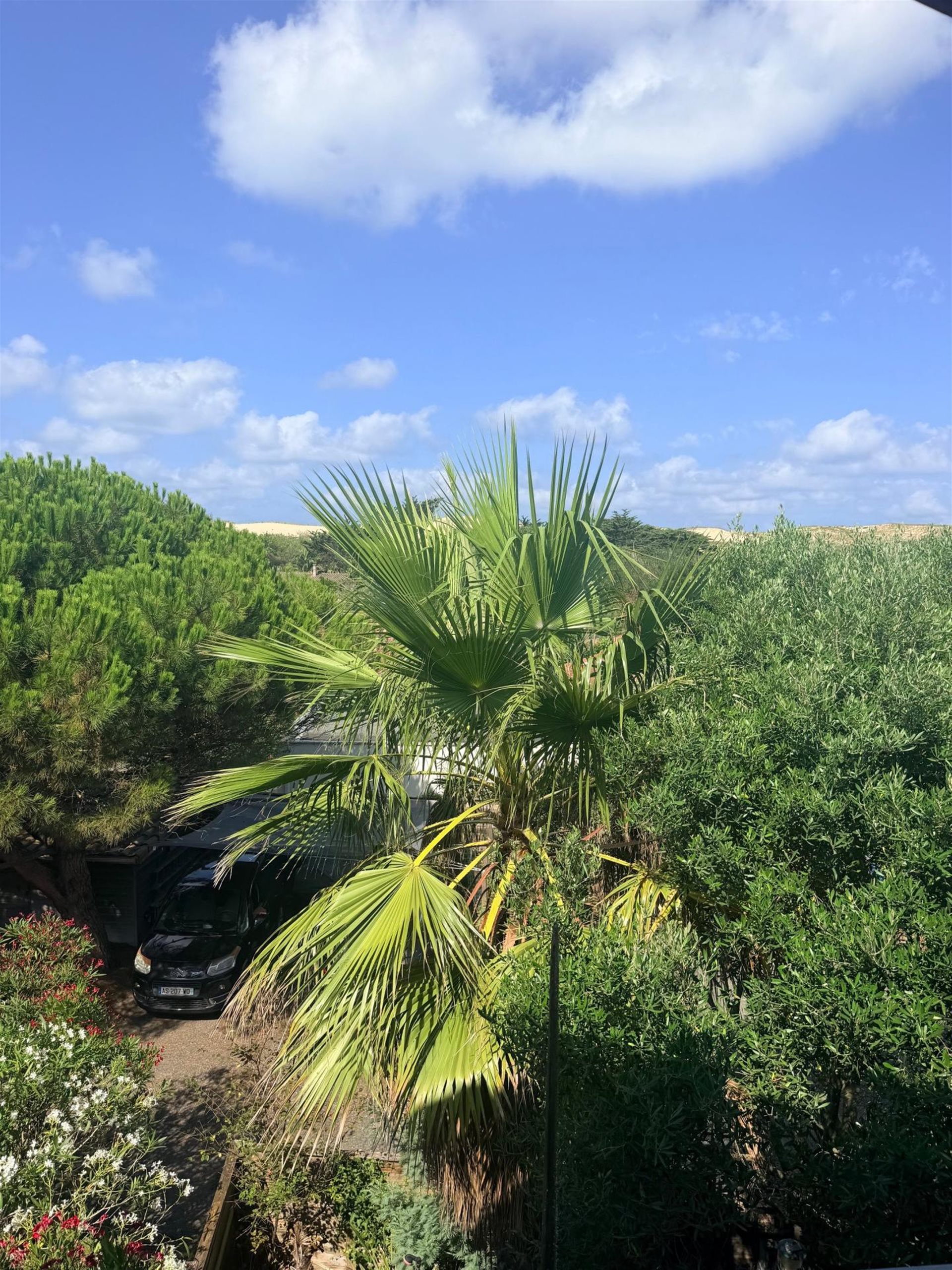 Maison à vendre, 103m², Lège-Cap-Ferret