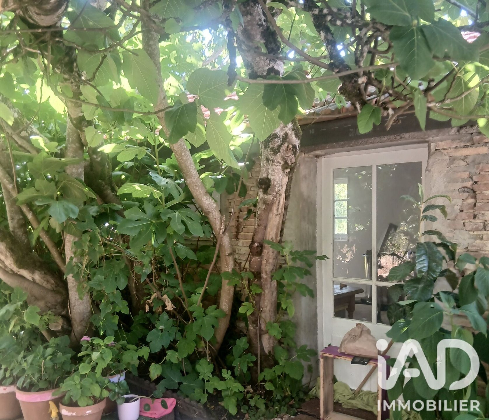 Maison à vendre, 86m², Lisle-sur-Tarn