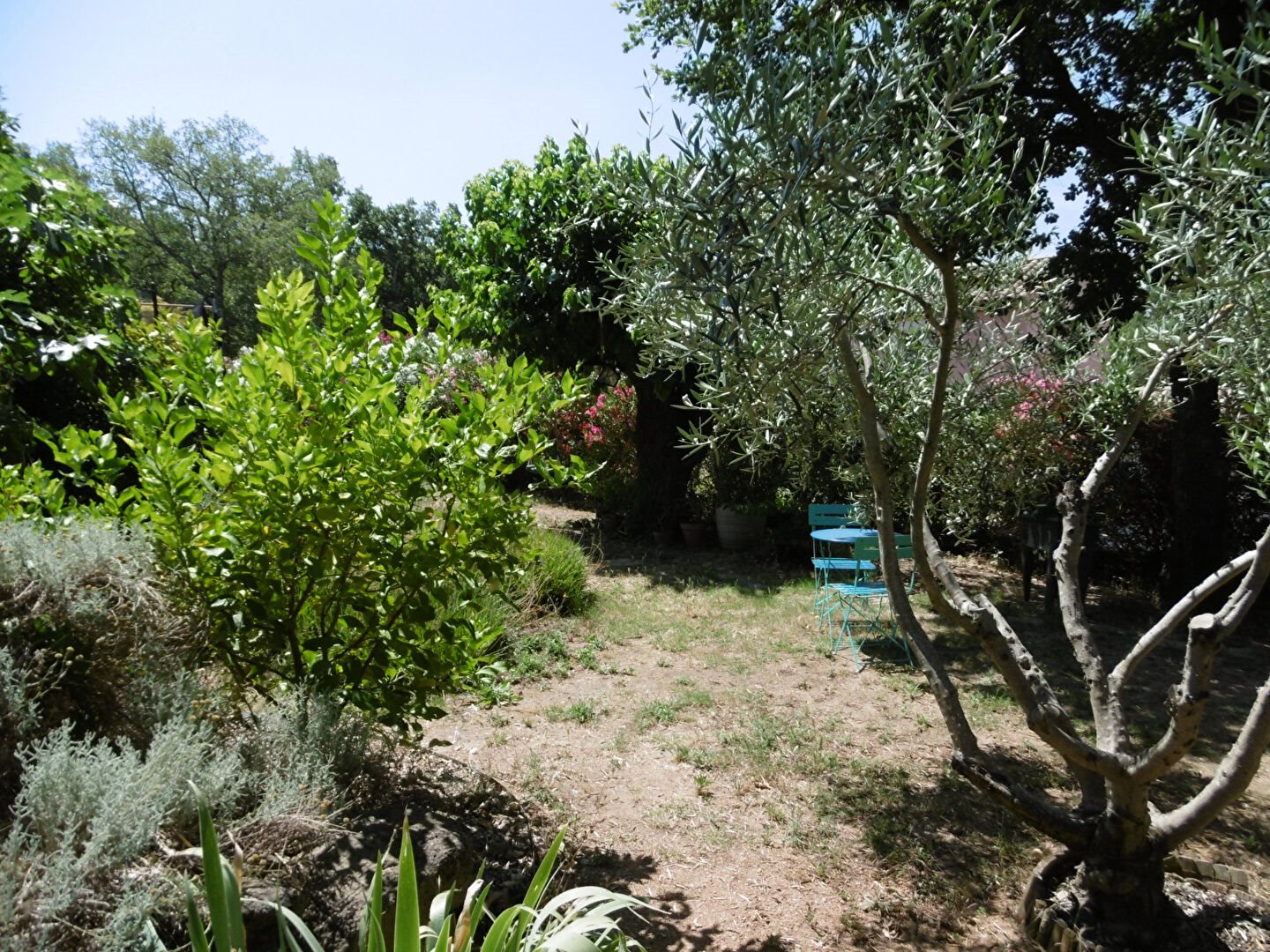 Maison à vendre, 105m², Vidauban