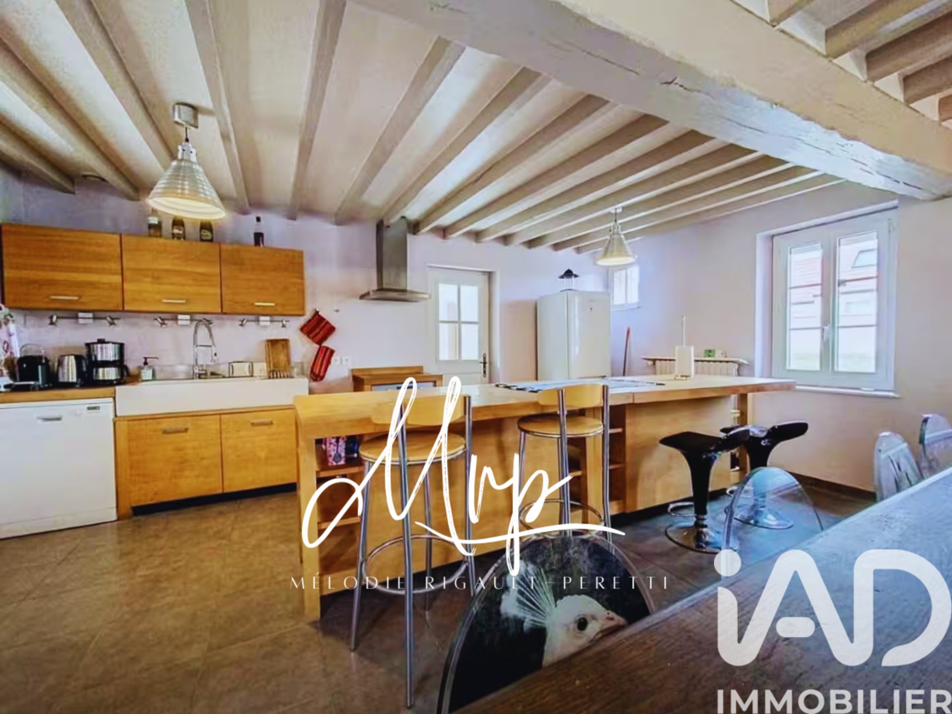 Maison à vendre, 227m², La Vieille-Lyre