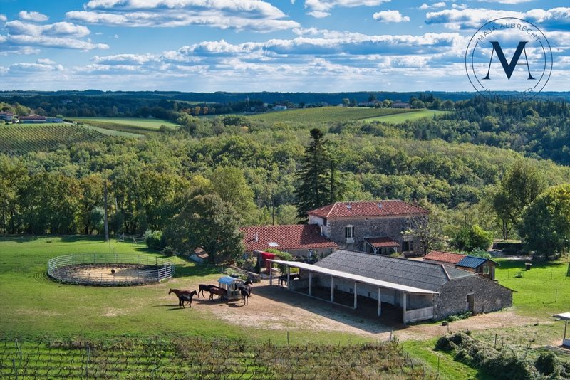 Maison à vendre, 340m², Tournon-d'Agenais